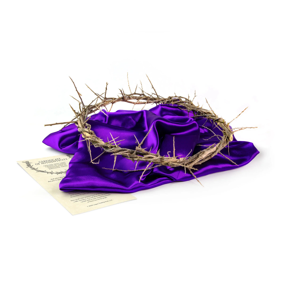 Crown of Thorns - 13" Diam. OR 24" Diam. -